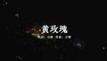mv_1x2_10