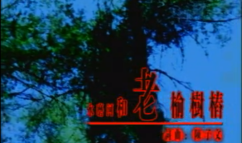 水磨河与老榆树桩 陈子文《新疆原创第一击》