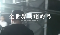 全世界飞翔的鸟