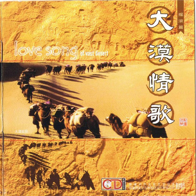 大漠情歌 封面